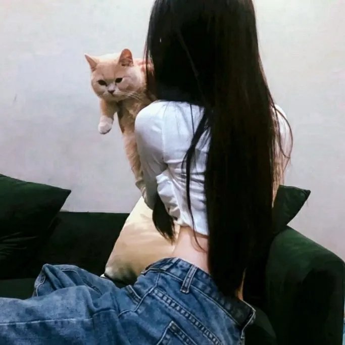 骑师